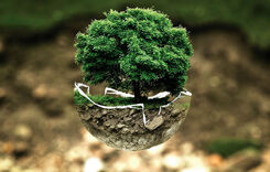 Über den eigenen Horizont hinausschauen – Projektwoche vor den Herbstferien 